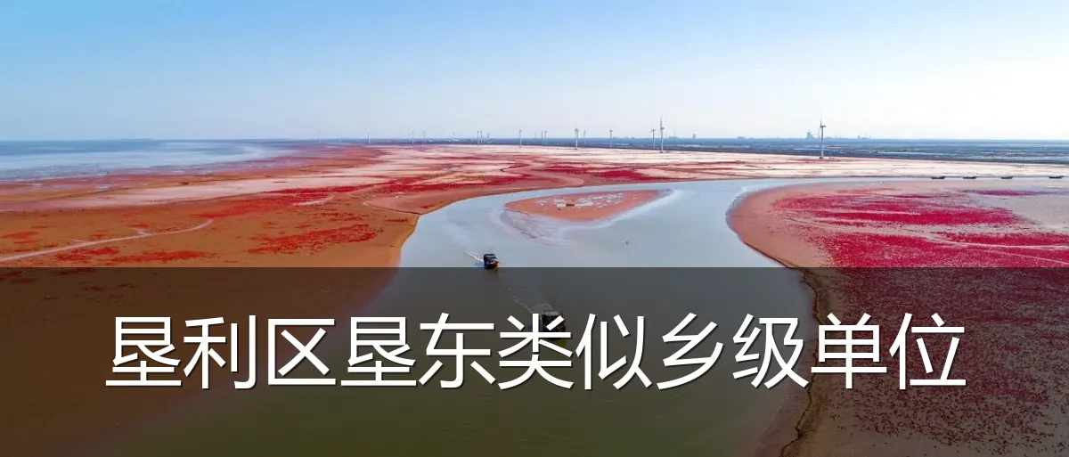 垦利区垦东类似乡级单位