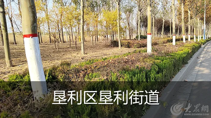 垦利区垦利街道