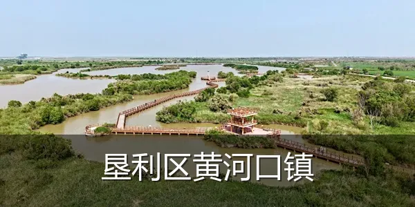 垦利区黄河口镇